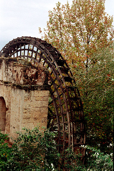 Cordoba