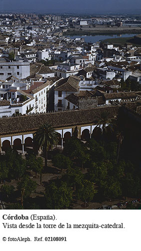 Cordoba