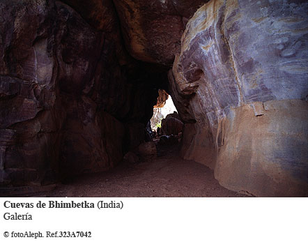 Cuevas de Bhimbetka