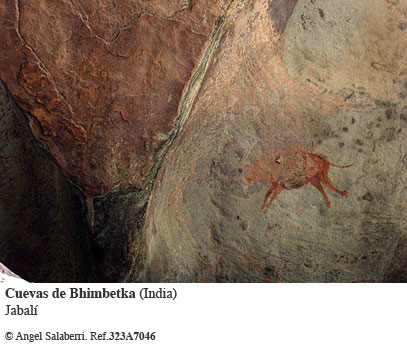 Cuevas de Bhimbetka