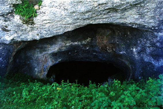 Cueva-sima de Usede (Andia, Navarra)