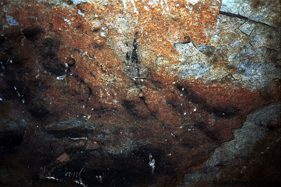 Cueva de Basaura (Lokiz, Navarra). Pintura rupestre