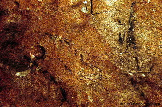 Cueva de Basaura (Lokiz, Navarra). Pintura rupestre.