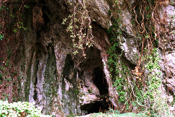 Cueva de Aribe (Navarra)