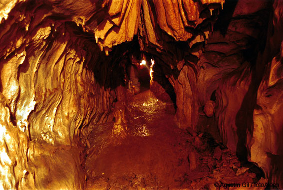 Cueva de Aribe (Navarra)