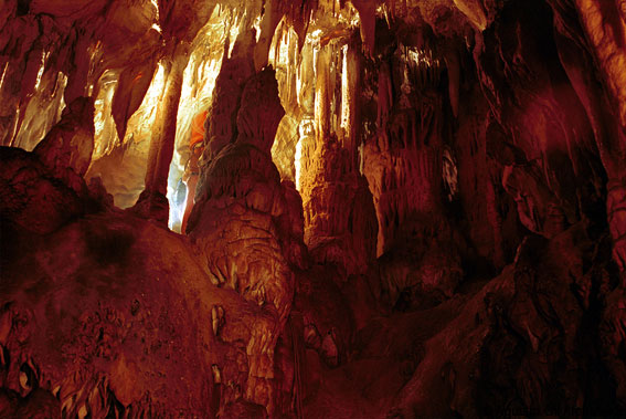 Cueva de Aribe (Navarra)