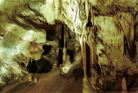 Cueva de Aribe (Navarra)