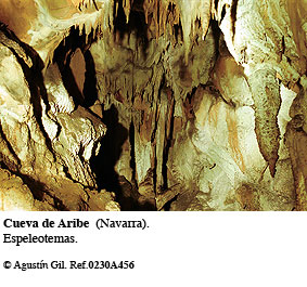 Cueva de Aribe (Navarra)