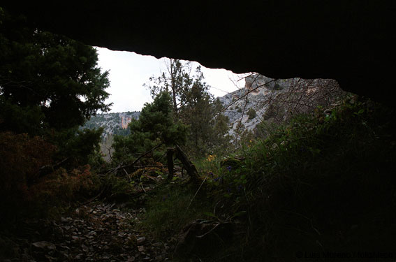 Cueva del Jabino (cañón del Río Lobos, Soria)