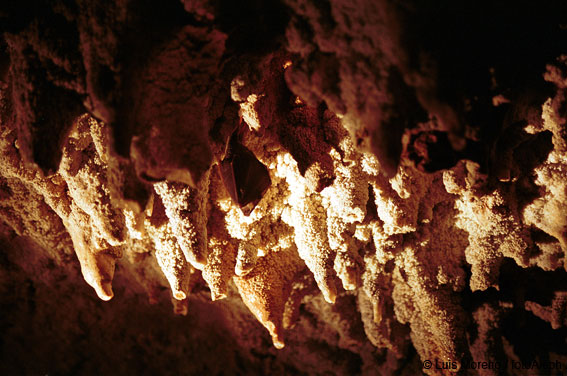 Cueva del Jabino (cañón del Río Lobos, Soria)