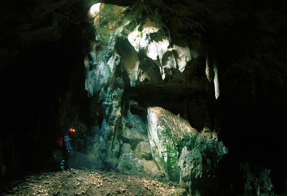 Cueva de la Galiana Alta I (cañón del Río Lobos, Soria)