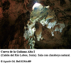 Cueva de la Galiana Alta I (Soria)