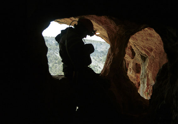 Cueva de la Galiana Alta II (cañón del Río Lobos, Soria)