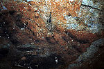 Cueva de Basaura. Pintura rupestre
