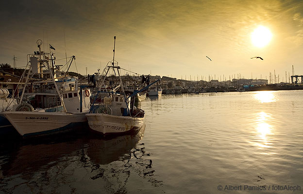 En torno al mar