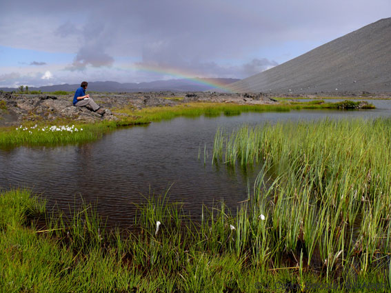 Islandia