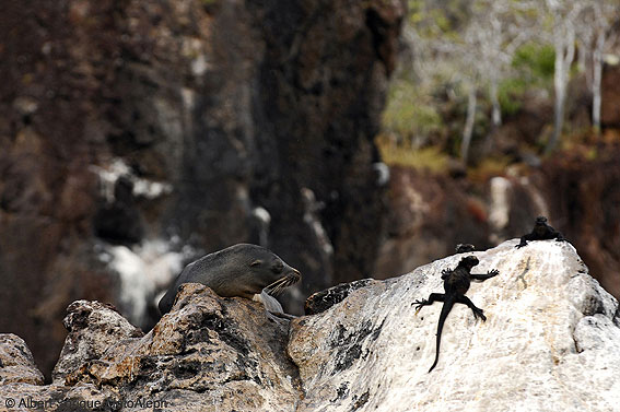 Islas Galapagos