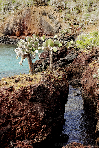 Islas Galapagos