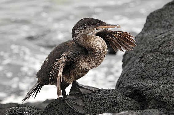 Islas Galapagos