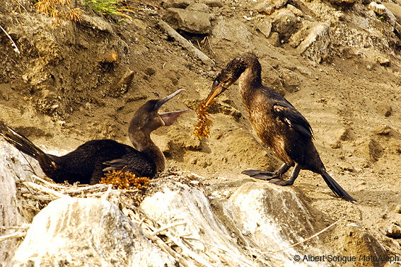 Islas Galapagos