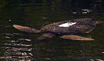 Islas Galapagos