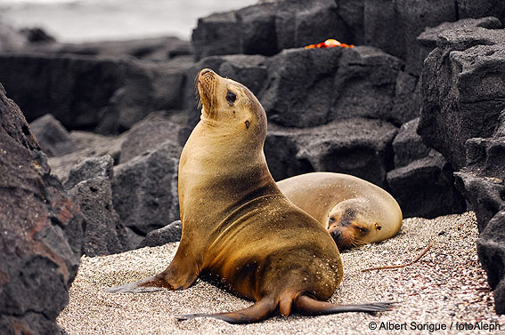 Islas Galapagos