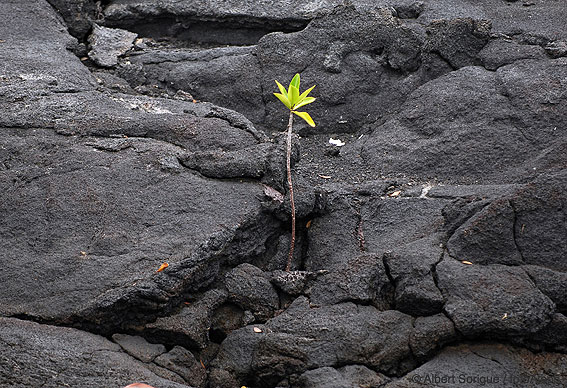 Islas Galapagos