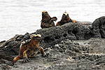 Islas Galapagos