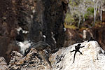 Islas Galapagos