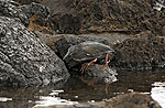 Islas Galapagos