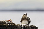 Islas Galapagos