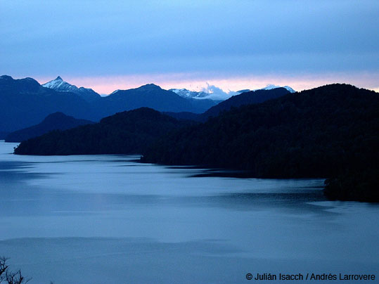 El jardin de la Patagonia