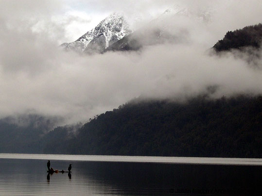 El jardin de la Patagonia