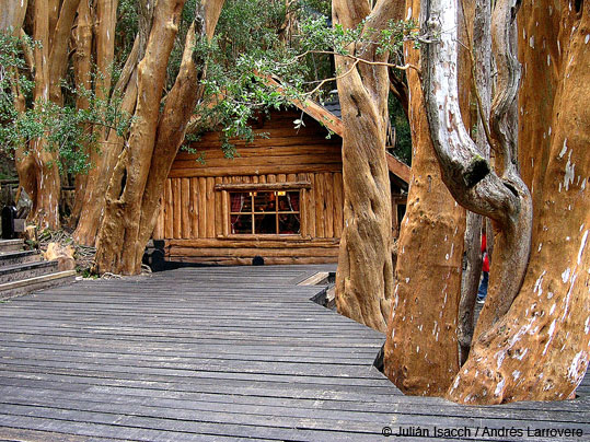 El jardin de la Patagonia