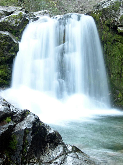 El jardin de la Patagonia