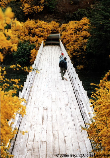 El jardin de la Patagonia