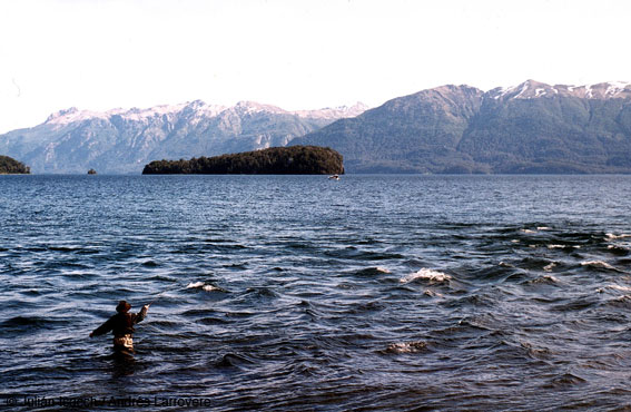 El jardin de la Patagonia