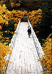 El jardin de la Patagonia