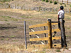 El jardin de la Patagonia