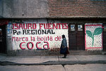 Latin American Graffiti