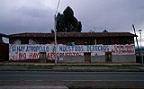 Latin American Graffiti