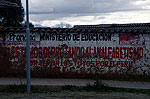 Latin American Graffiti