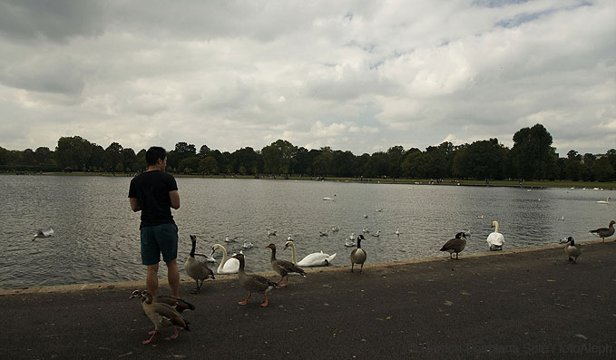 London's people