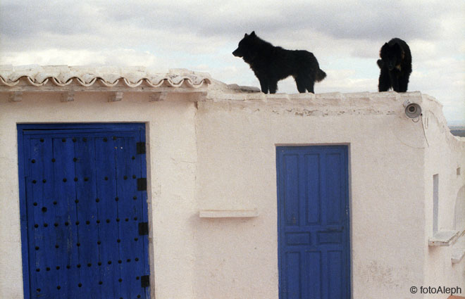 Lugares de la Mancha