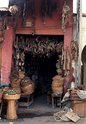 Marrakesh