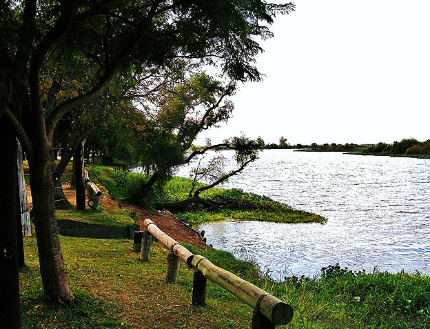 Miradas hacia el rio