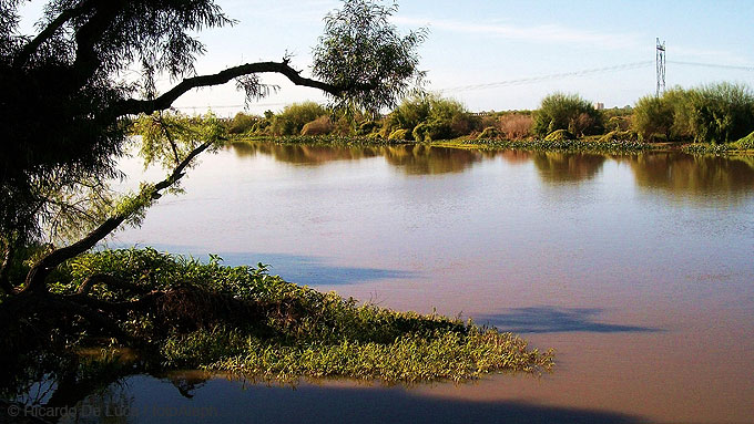 Miradas hacia el rio