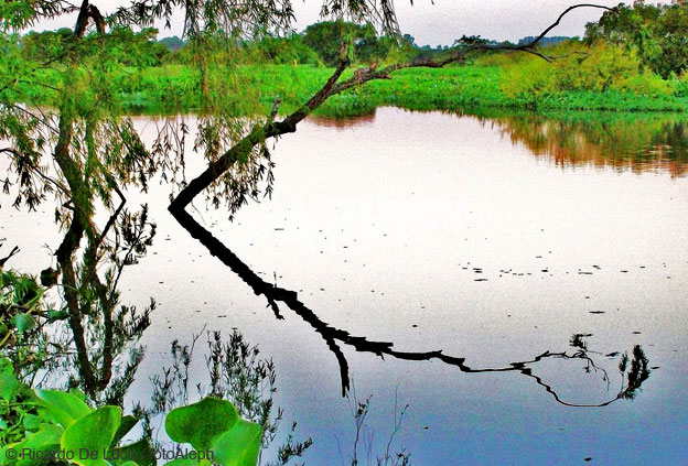 Miradas hacia el rio