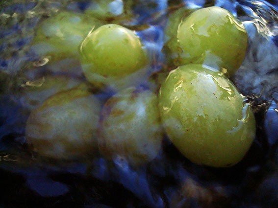 Las musas de las aguas