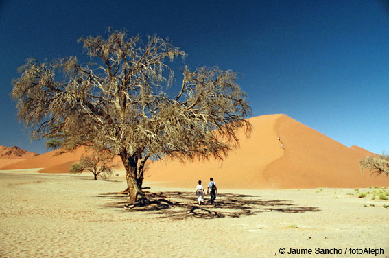 Las dunas gigantes del Namib